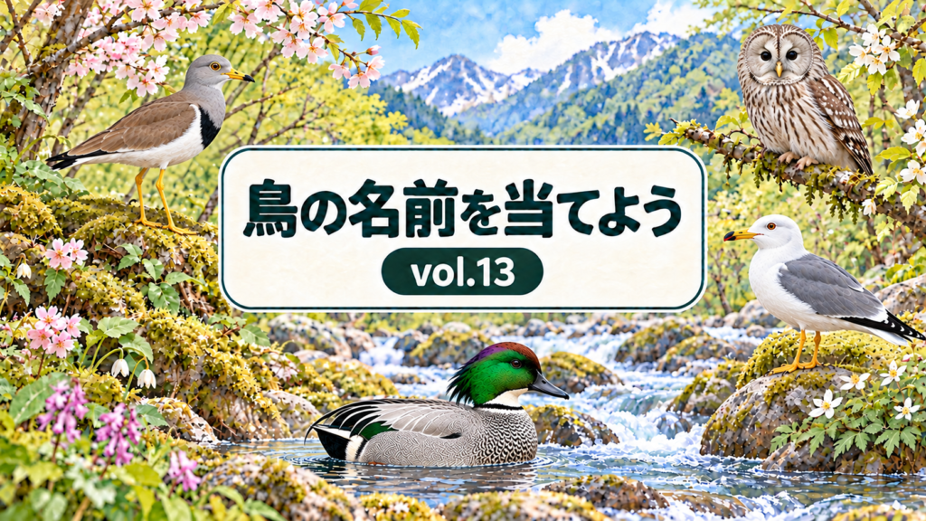 鳥の名前を当てよう vol.13。ケリ、フクロウ、ウミネコ、ヨシガモと山の渓流を描いたシリーズ共通デザイン