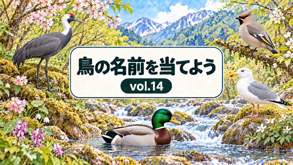 鳥の名前を当てよう vol.14。花と山と川に囲まれた看板に、ナベヅル、キレンジャク、セグロカモメ、マガモを描いたシリーズ共通デザインのアイキャッチ