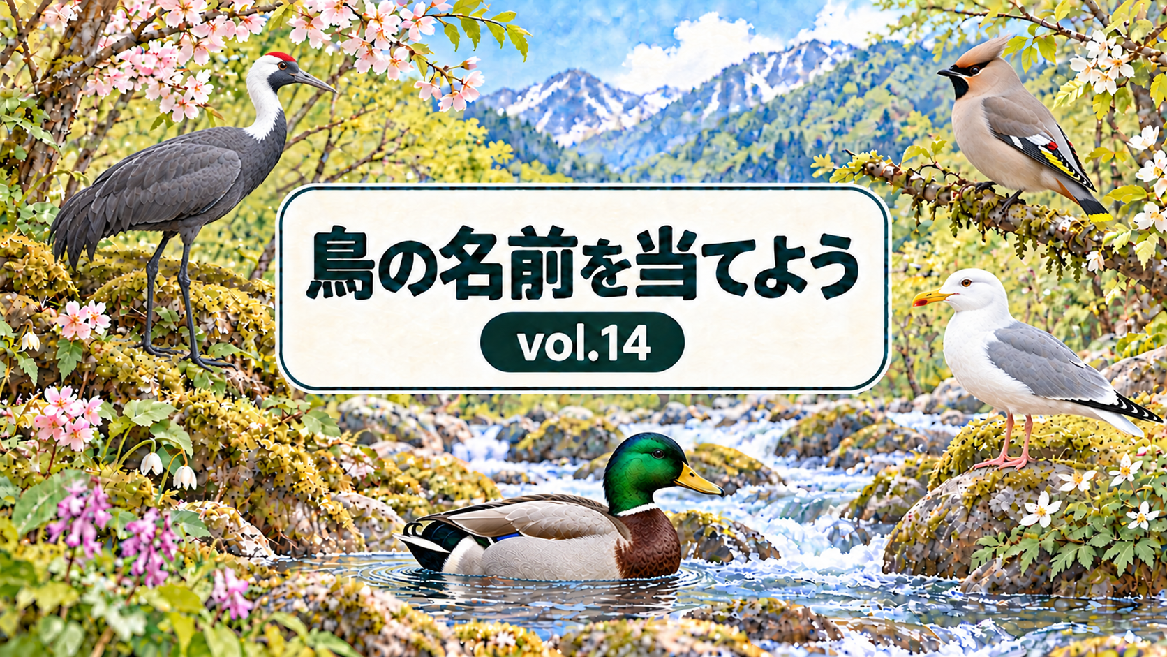 鳥の名前を当てよう vol.14。花と山と川に囲まれた看板に、ナベヅル、キレンジャク、セグロカモメ、マガモを描いたシリーズ共通デザインのアイキャッチ