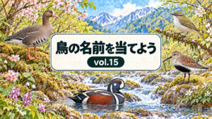 鳥の名前を当てよう vol.15。花と山と川を背景に、マガン、センダイムシクイ、ハマシギ、シノリガモを描いたシリーズ共通デザインのアイキャッチ