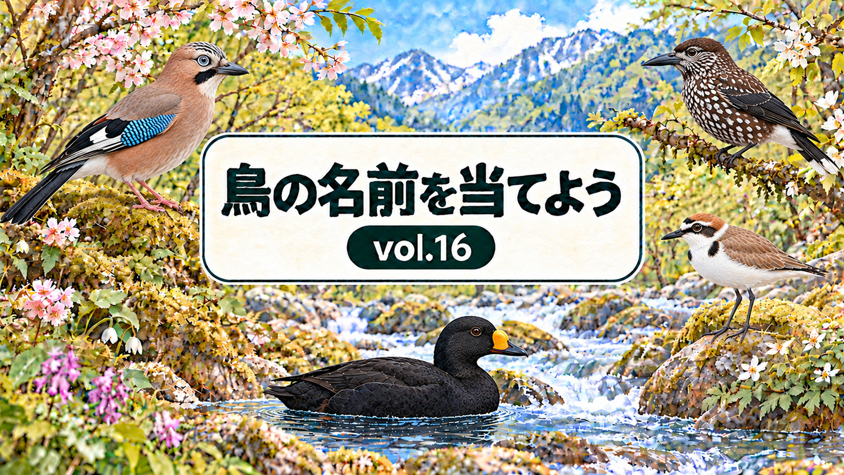 鳥の名前を当てよう vol.16。従来の花・山・川と看板のデザインに、カケス、ホシガラス、シロチドリ、クロガモを配したアイキャッチ