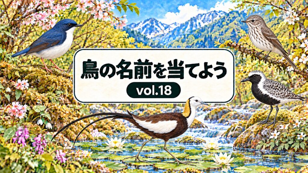 鳥の名前を当てよう vol.18。従来の花・山・川と看板のデザインに、コルリ、エゾビタキ、ダイゼン、レンカクを配したアイキャッチ