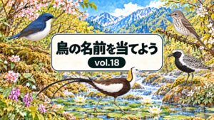鳥の名前を当てよう vol.18。従来の花・山・川と看板のデザインに、コルリ、エゾビタキ、ダイゼン、レンカクを配したアイキャッチ