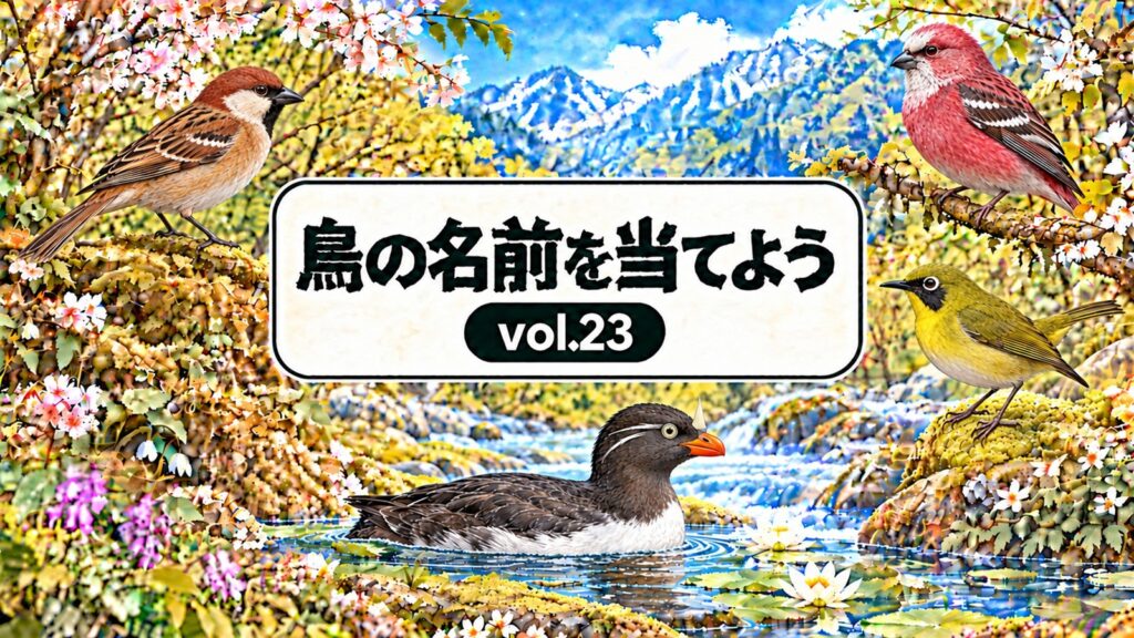 鳥の名前を当てよう vol.23。花と山と小川、ニュウナイスズメ、オオマシコ、メグロ、ウトウを描いたシリーズ共通デザイン。
