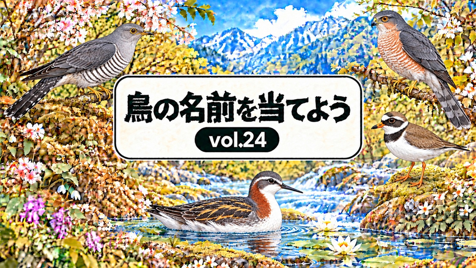 鳥の名前を当てよう vol.24。花と山と小川、ツツドリ、ハイタカ、ハジロコチドリ、アカエリヒレアシシギを描いたシリーズ共通デザイン。