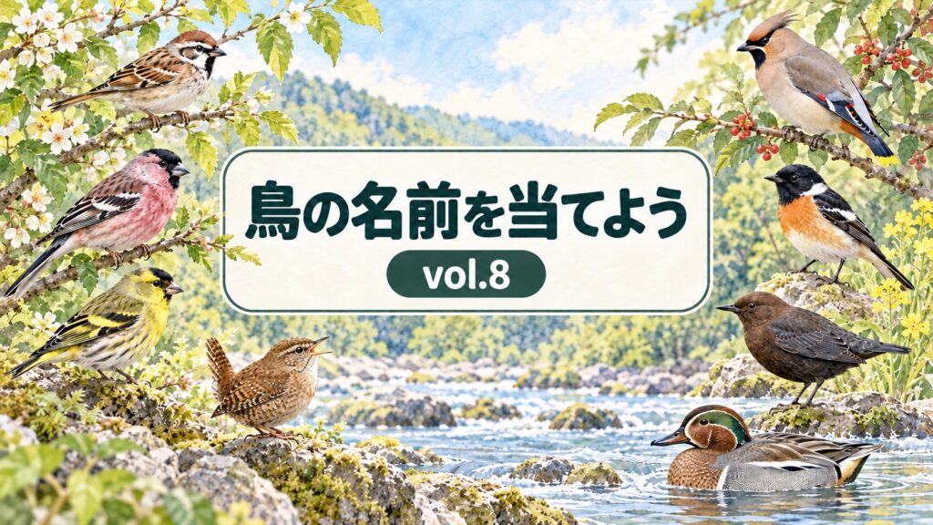 鳥の名前を当てよう vol.8 のアイキャッチ画像