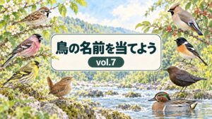 鳥の名前を当てよう vol.7 のアイキャッチ画像